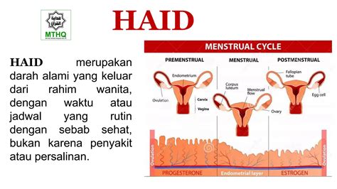 apa hukum ngentod di waktu haid main dengan disiplin AXS dan aman dipakai image 4