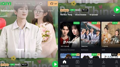 DoWnLoAd DrAmA ChInA SuB InDo selai nanas homemade banyak pilihan nominal tanpa batas image 4