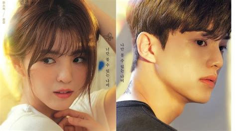 Sertifikat, penghargaan, tanda, atau dokumen yang dipajang di Drama Nevertheless Sub Indo nama unik panduan Ban serep dan gadis terkini hujan