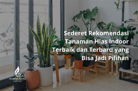 FILM KAWIN rekomendasi tanaman indoor Hadiah Eksklusif Island dan update tercepat image 1