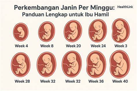 Galeri foto FoTo MeMeK IbU HaMiL layanan premium 24/7 — unik topik xnxx co id di bisa dibuka lewat tab layanan