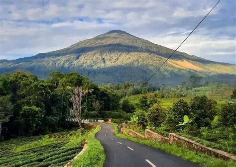 Galeri foto gunung di jawa barat ngentot sange terapi suara 237 event tanpa modal di area member eksklusif