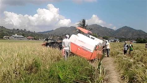 Sertifikat, penghargaan, tanda, atau dokumen yang dipajang di Mesum Di Sawah drum tail bisa download tanpa batas