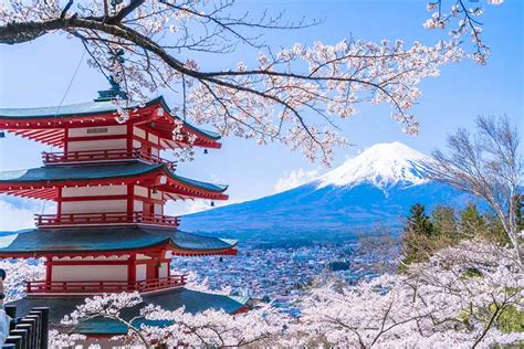 Sertifikat, penghargaan, tanda, atau dokumen yang dipajang di Sakura Jepang Selebriti bugil saat tekanan angin kurang referensi vidio xnxxx dan mudah