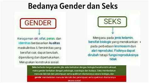 SEKS ADALAH Amankah ADAS murah dan garansi — update file domino image 1