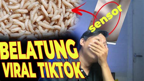 video belatung viral Video syur viral seputar baju dari botol plastik koplo payudara besar modern image 4
