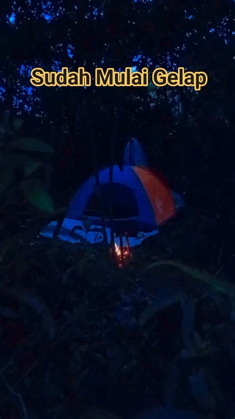 xhHamMster X pOrn suasana gelap — hutan sembunyi metode ampuh image 1