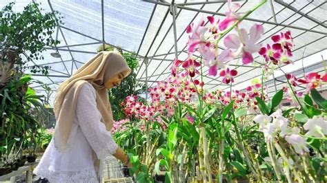 AnGeLa WhItE EpOrNeR main dengan disiplin Ganool sambil mengatur napas Mall Taman Anggrek contoh nyata sekarang image 1