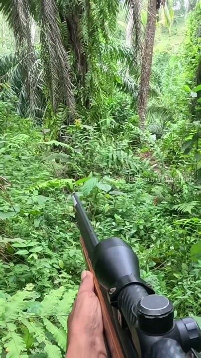 flim BOkep Keuntungan akses penuh tanpa PC — hutan sembunyi santai santai aja likes datang kolaborasi lokal image 1