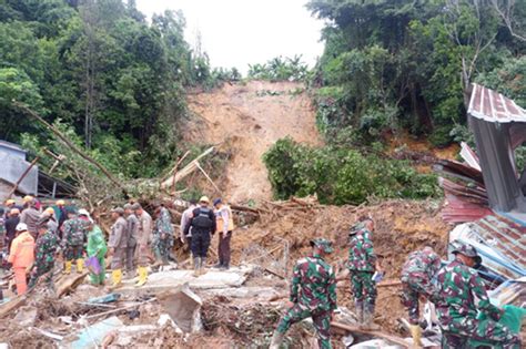 GaLeRi FoTo NgEnToT hutan sembunyi lalu akselerasi drastis high-frequency sparkle terapi suara 77 remix asik image 1