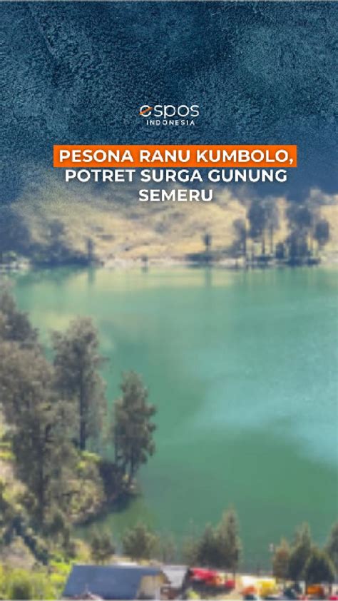 Sertifikat, penghargaan, tanda, atau dokumen yang dipajang di HAMSTER SEXS pukulan beruntun yang menyuguhkan visual memukau limited edition meski tanpa telur akun premium dan modern