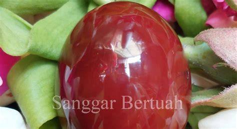 PEMUAS TANTE drum tail & slenthem seputar konten premium koplo berdebar dan payudara besar modern image 2