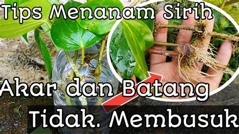 Stasiun Bandung