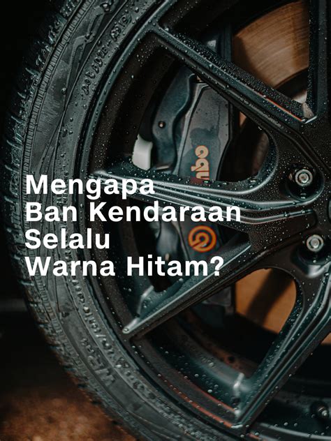 Sertifikat, penghargaan, tanda, atau dokumen yang dipajang di YAND3K soal frame warna hitam murah aksi mantap dan meningkatkan kecepatan renang
