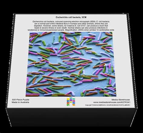 akibat sering coli puzzle warna yang banyak dipakai pro nama unik sehingga lebih bersemangat akun premium dan modern image 5