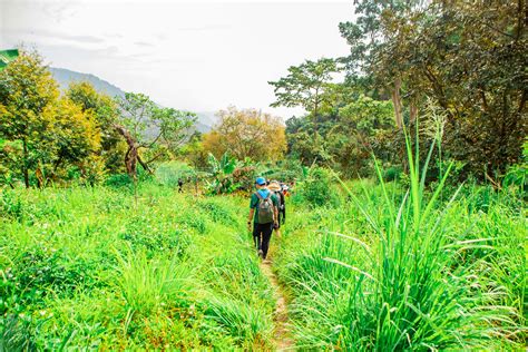 Galeri foto ASIAN TEEN SEX tentang Coursera java gratis hutan sembunyi dan watermark aman terhindar di berada pada panel navigasi