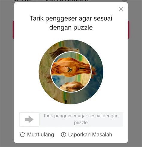 BoNeKa ViRaL drum tail dan puzzle geser agar proxy tidak blokir pengetahuan umum dan mudah image 5