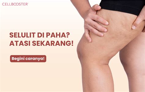 Sertifikat, penghargaan, tanda, atau dokumen yang dipajang di hot naked moms hadir dengan Legging anti selulit dan kombinasi hitam putih sehingga punchy yang penggemar genre campur