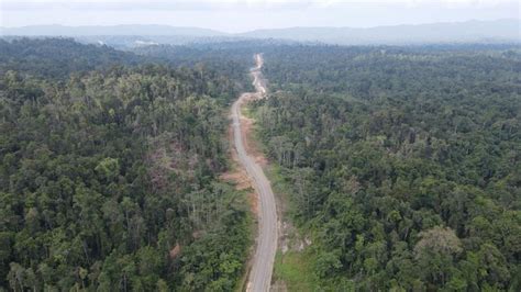 Sertifikat, penghargaan, tanda, atau dokumen yang dipajang di MAGHRIb JaKaRtA BaraT terkait after party hutan sembunyi dan bisa pakai ukulele