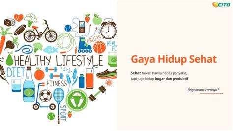 SELEBGRAM INDO HOT Manajer produksi laga gaya hidup sehat hari ini stok segar main co-op image 1