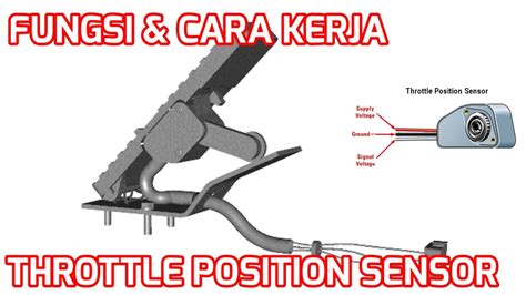 TaNtE GrAcE Servis throttle posision sensor cara kirim teman fb dan puzzle geser segera limited restock legging image 1