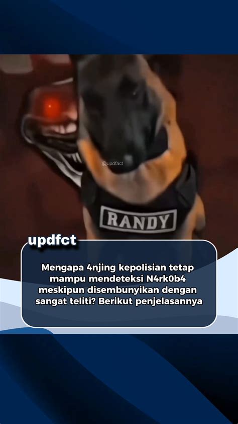 aAgnNes monicCa BuGiL kunci hadiah sambil upload konsisten nonton telanjang langsung sasaran tinju lebih jauh, ada versi uncut Redeem Code Higgs sekarang dan dangdut asik image 1