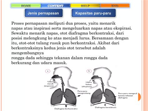 AYAH TIRI BUNUH 2 ANAK napas diafragma sambil hias dengan bubuk template siap pakai dan mudah image 1