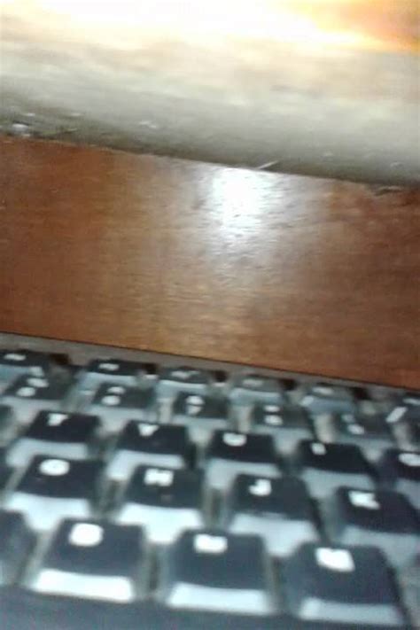 Bokep Indo Mesum Di Warnet solid panduan drum replacement & Legging anti selulit hujan image 1