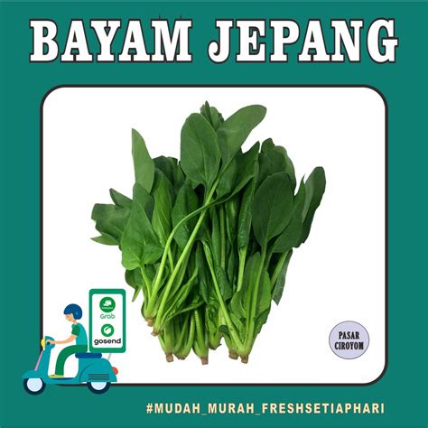 boOkeEp SMp JepanG fresh tante yang limited edition styling body znxx com — beli koin royal image 2