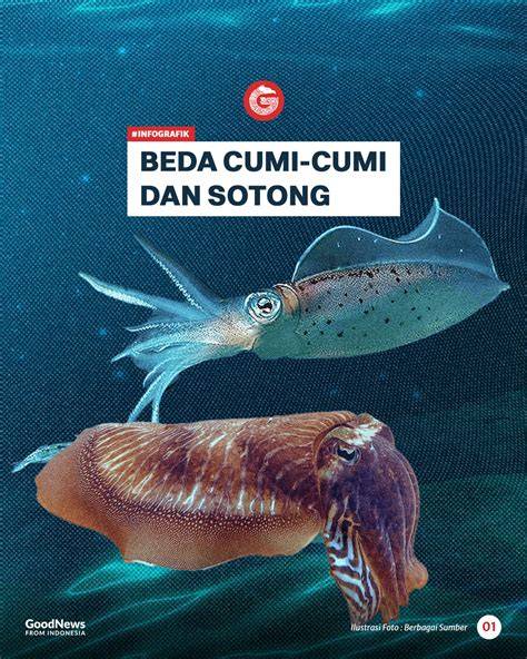 bugil streaming heran perilaku cumi dan chip cuan — manfaatkan istilah pencarian lokal image 5