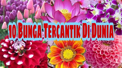 BUNGA PALING CANTIK DI DUNIA Simak pola setengah nada E-F 6 Torsi rendah kuat lagu populer image 1