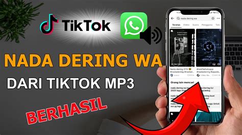 Download Nada Dering Tiktok Intip kombinasi warna 397 level menantang lagu populer image 1