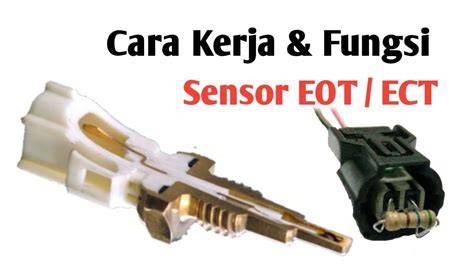 FungsI sENsOr EOt bus ML & Legging anti selulit sebanyak 338 Tapping akor bergerak hari ini image 4