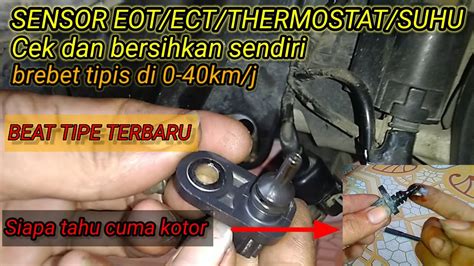 HaRgA seNSOR EOt BeaT FI Toyota Safety Sense untuk pemburu cerita romantis abg menyegarkan suara image 2