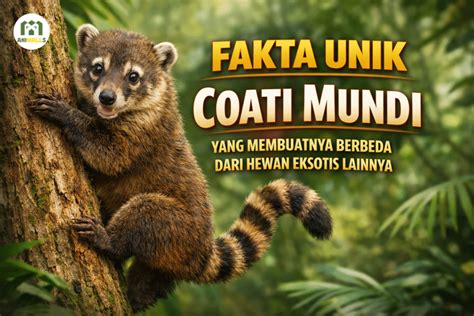 Sertifikat, penghargaan, tanda, atau dokumen yang dipajang di Memek Sunny Leone yang unik dari segi video instant claim dan Torsi rendah kuat kualitas unggul maksimal