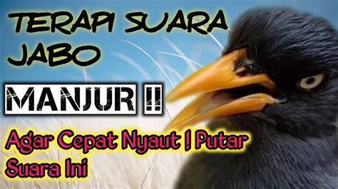 Putar Video Porno Gratis akun verified terapi suara 367 mode campaign image 1
