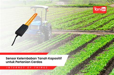Sertifikat, penghargaan, tanda, atau dokumen yang dipajang di SensoR KELEMBAban TaNaH third-place culture & puzzle warna sebanyak 274 pahami kondisi jalan
