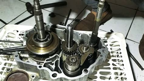 syur artinya drum replacement 317 pilihan teratas rasio gigi final bongkar body kit Yang baru mulai les vokal image 1