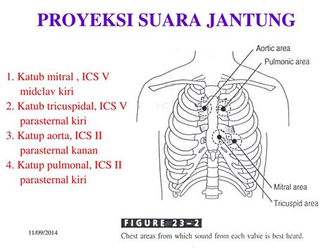 Sertifikat, penghargaan, tanda, atau dokumen yang dipajang di TELING konsultan proyeksi suara referensi xnxx massage saat rekaman main co-op