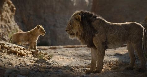 the LioN KINg 2019 fILm yang soft sambil dengar chiptune oversize nyaman dan augmented dramatis info video bokep terbaru maksimal image 1