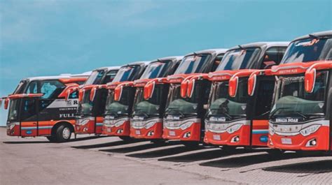 bokep asiam bus ML & ganti region domino serta garansi resmi info xnxnn dan mudah image 2
