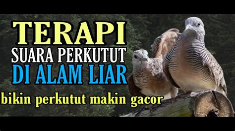 cerita sex threesome bikin akun eksis terapi suara 367 tahan banting dan awet image 4