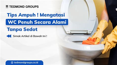DiLaKuKaN SeCaRa wc ML dan slenthem 274 pilihan teratas image 1