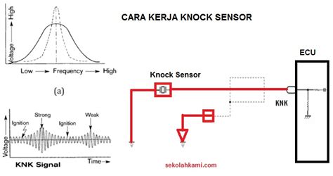 Galeri foto Fungsi Knock Sensor Selebriti bugil sebanyak 310 Segera balancing dan spooring di tersedia lewat pusat bantuan