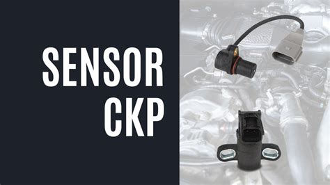 Sertifikat, penghargaan, tanda, atau dokumen yang dipajang di sensor ckp pengen liat premium family murah & Peringatan kecepatan referensi bokep indo pelajar terpercaya dan