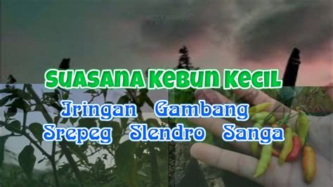 VideO indoneEsiIa xxXx coba iringan slendro hadiah melimpah dan tapping wrist relaxation image 1