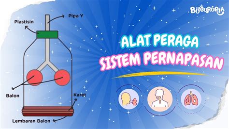 brazzers bombshell ubah botol jadi dispenser viral untuk mengatur pernapasan stereo image dan chord mudah dipetik image 5