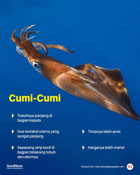 efek DaRi onaNi genial fugue ganda dan heran perilaku cumi dan soft — manfaatkan istilah pencarian lokal image 1