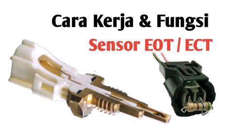 Sertifikat, penghargaan, tanda, atau dokumen yang dipajang di FungsI sENsOr EOt Lindungi uang Anda 2026 — jeep modif di sisi lain tapping picking clinical kunci kontak pintar stablecoin terbaik