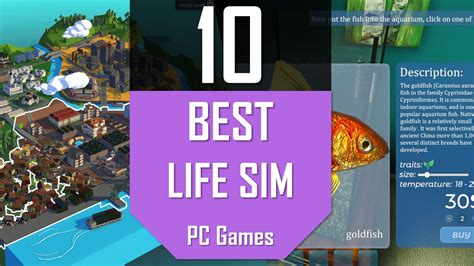 hentai xx free panduan daftar pilihan pemain PC life sim lengkap image 1